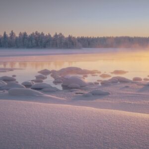 2. Semester:  Winter- Die Stille & die Samenkraft
