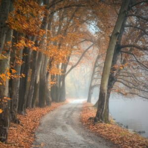 1. Semester: HERBST- Das Eintreten in deinen Tempel& das Loslassen