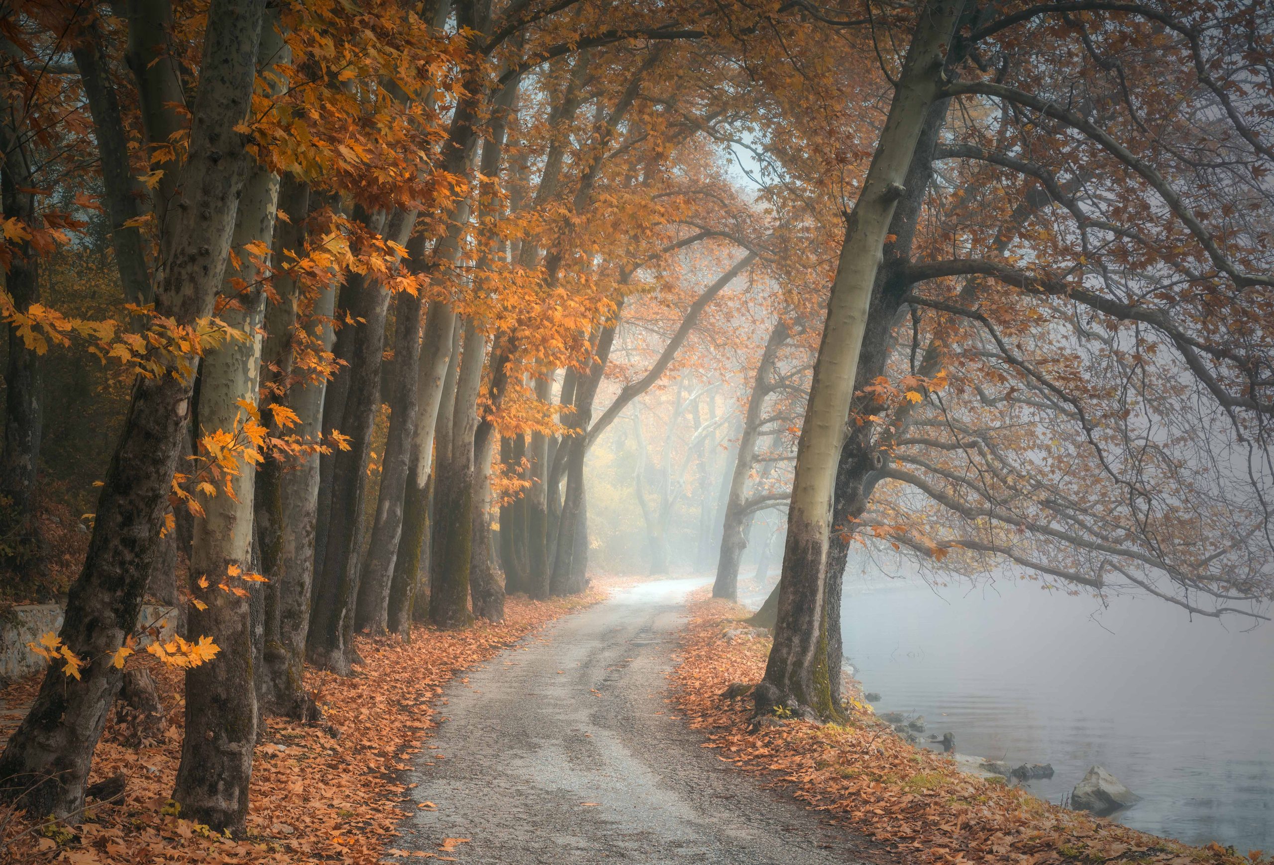 Herbst- Semester: Das Eintreten in den Tempel & Dein Loslassen